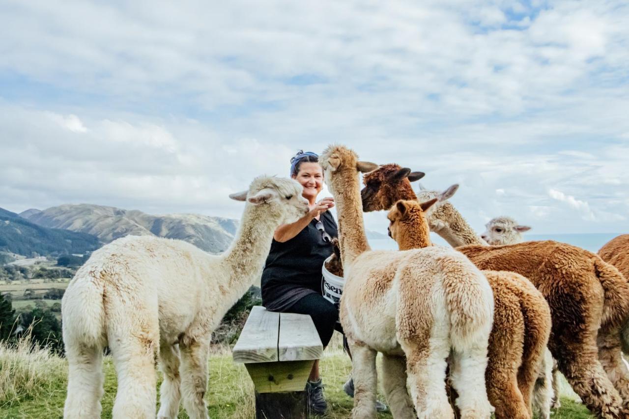 פאראפאראומו Luxury Stay, Alpaca Farm מראה חיצוני תמונה